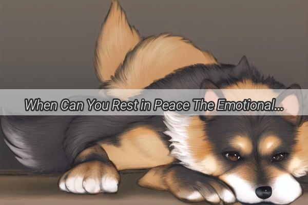 When Can You Rest in Peace The Emotional Journey of Grieving a Beloved Pet